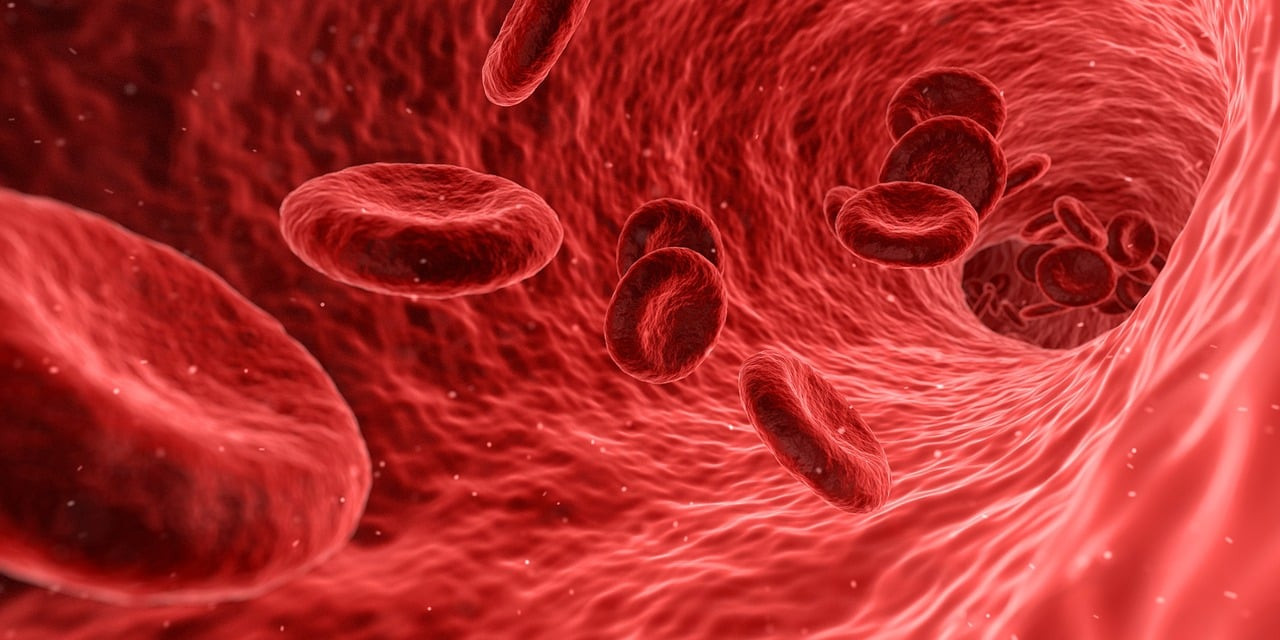Anticoagulante naturale. Ce alimente pot preveni formarea cheagurilor de sânge