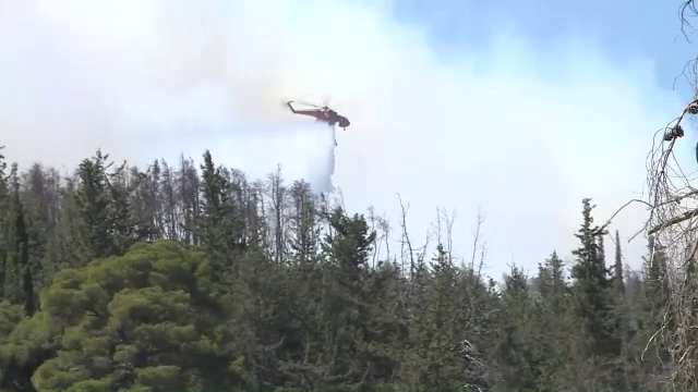 Cine este românul acuzat că a contribuit la dezastrul din Grecia. Decizia inexplicabilă pe care a luat-o