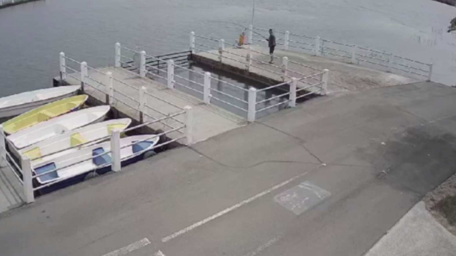 Ce au surprins camerele de supraveghere la un bazin cu pești din Bacău. VIDEO