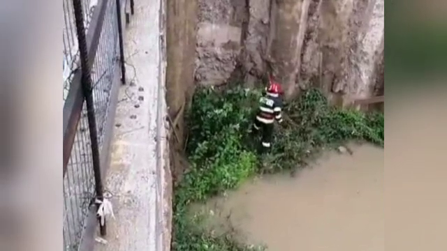 Momentul în care un militar coboară într-un șantier inundat pentru a salva un câine | VIDEO