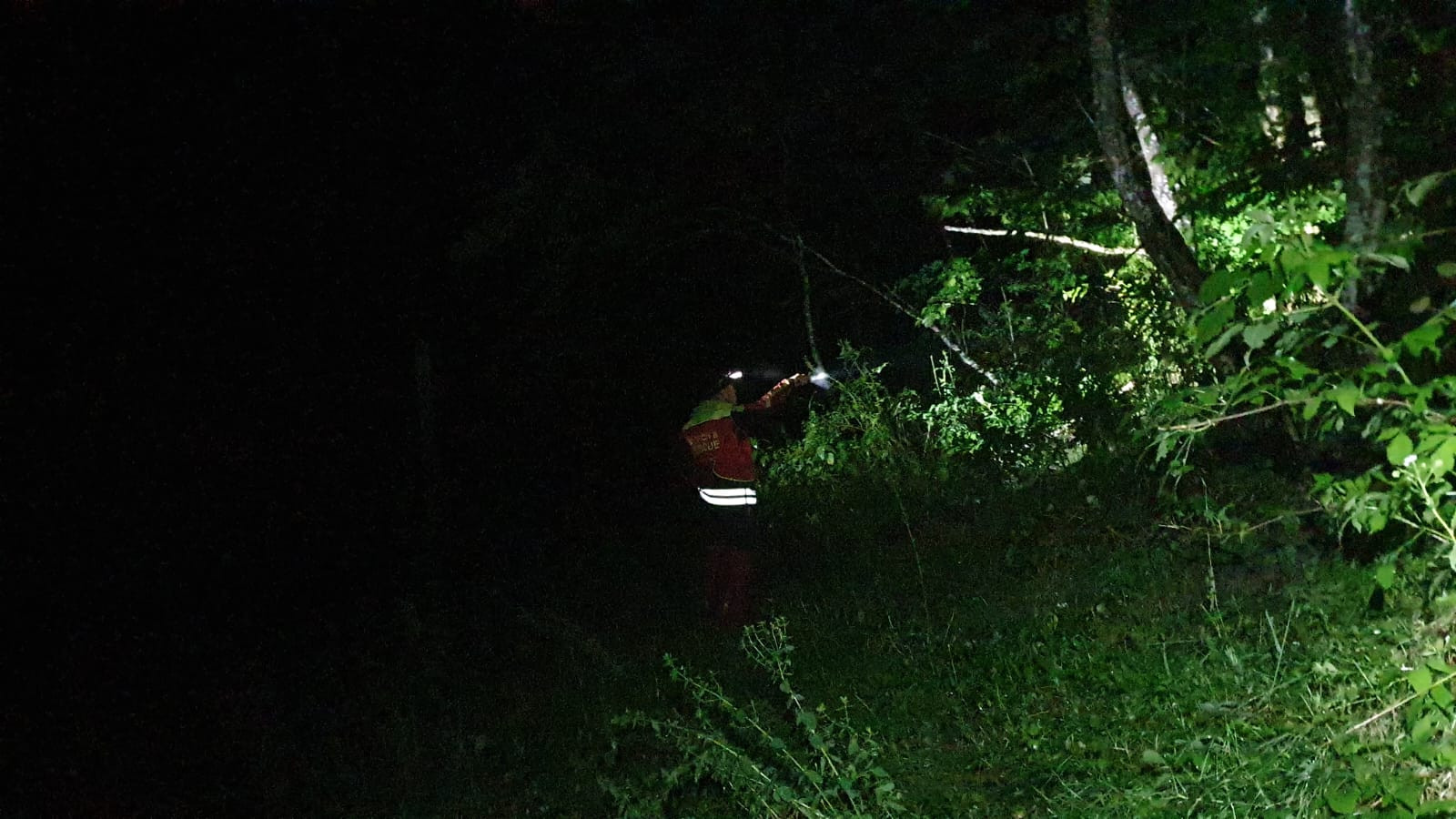 Un bărbat din Harghita a plecat să culeagă ciuperci și nu s-a mai întors. Cum a fost găsit de salvamontiști