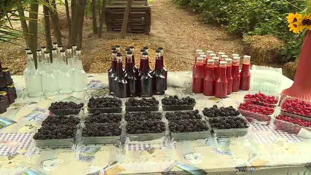 Producția de zmeură și mure este cea mai bună din ultimii ani. În supermarketuri ajung cele din import