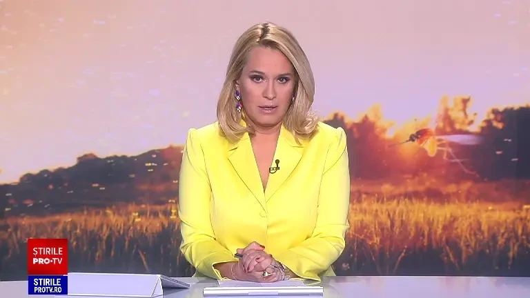 Gândacii și țânțarii se înmulțesc mai repede. Din cauza temperaturilor foarte ridicate, insecticidele nu mai au efect