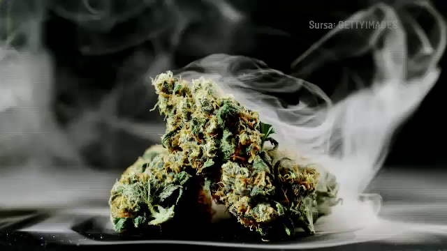 Un bărbat din Bihor a fost prins în timp ce vindea 200 grame de canabis pentru suma de 5.000 lei