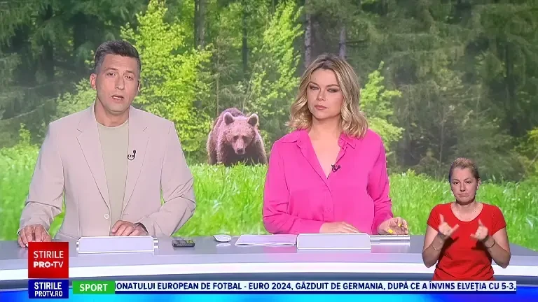 Ursul care venea la zoo din Tg. Mureș să mănânce căprioare s-a întors. De data asta a ales păsările emu, urmarea e șocantă