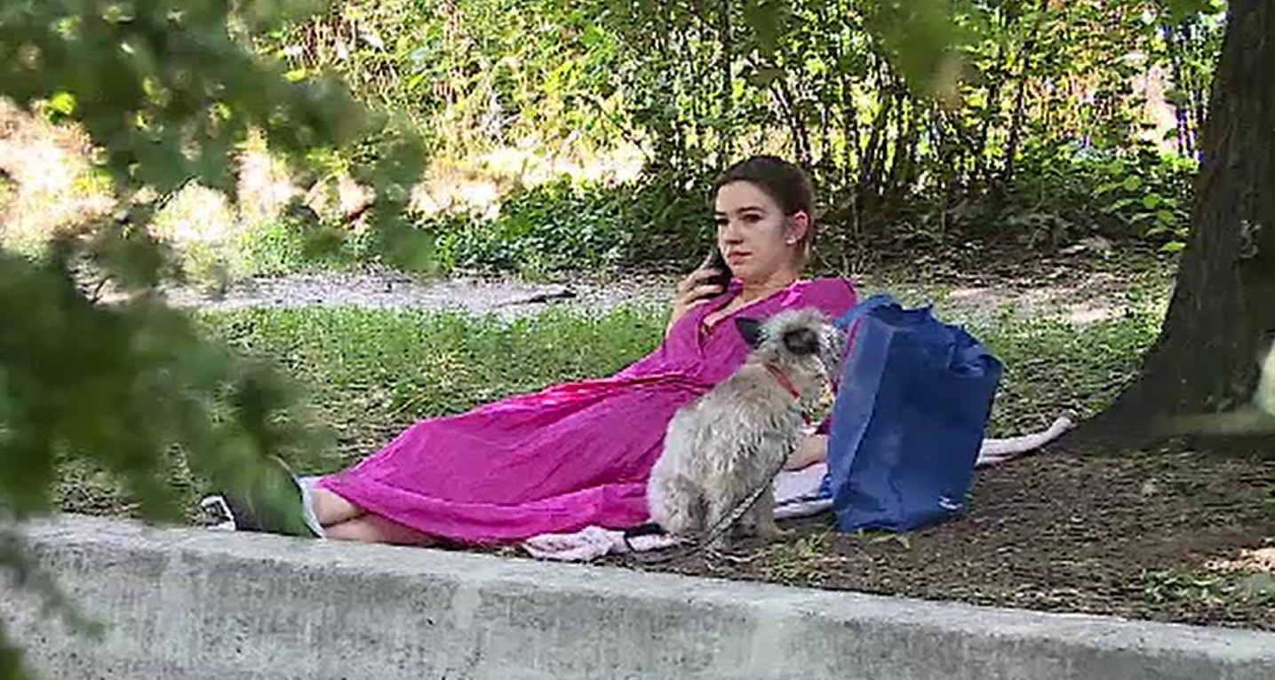 Controale de amploare în București. Amenzile pe care le pot primi cei care nu au câinii microcipați și sterilizați