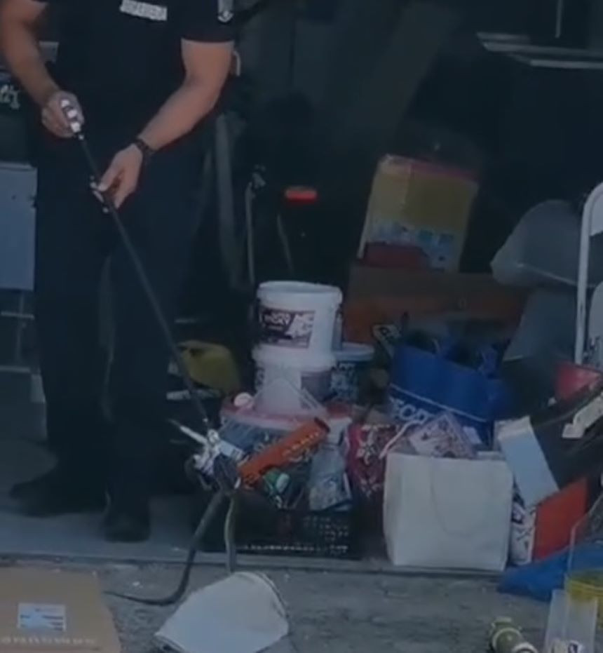 O femeie din Târgoviște s-a îngrozit când a intrat în garaj. Creatura care se ascundea după cutii