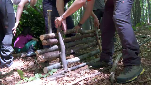 De la tehnici de supraviețuire la dans. Copiii descoperă lumea în taberele de vară. Cât costă o astfel de experiență