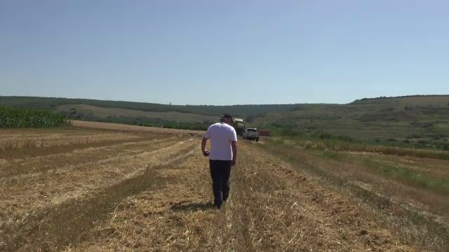 Meseria bănoasă care este la mare căutare în România. Nimeni nu primește mai puțin de 1.000 de euro net