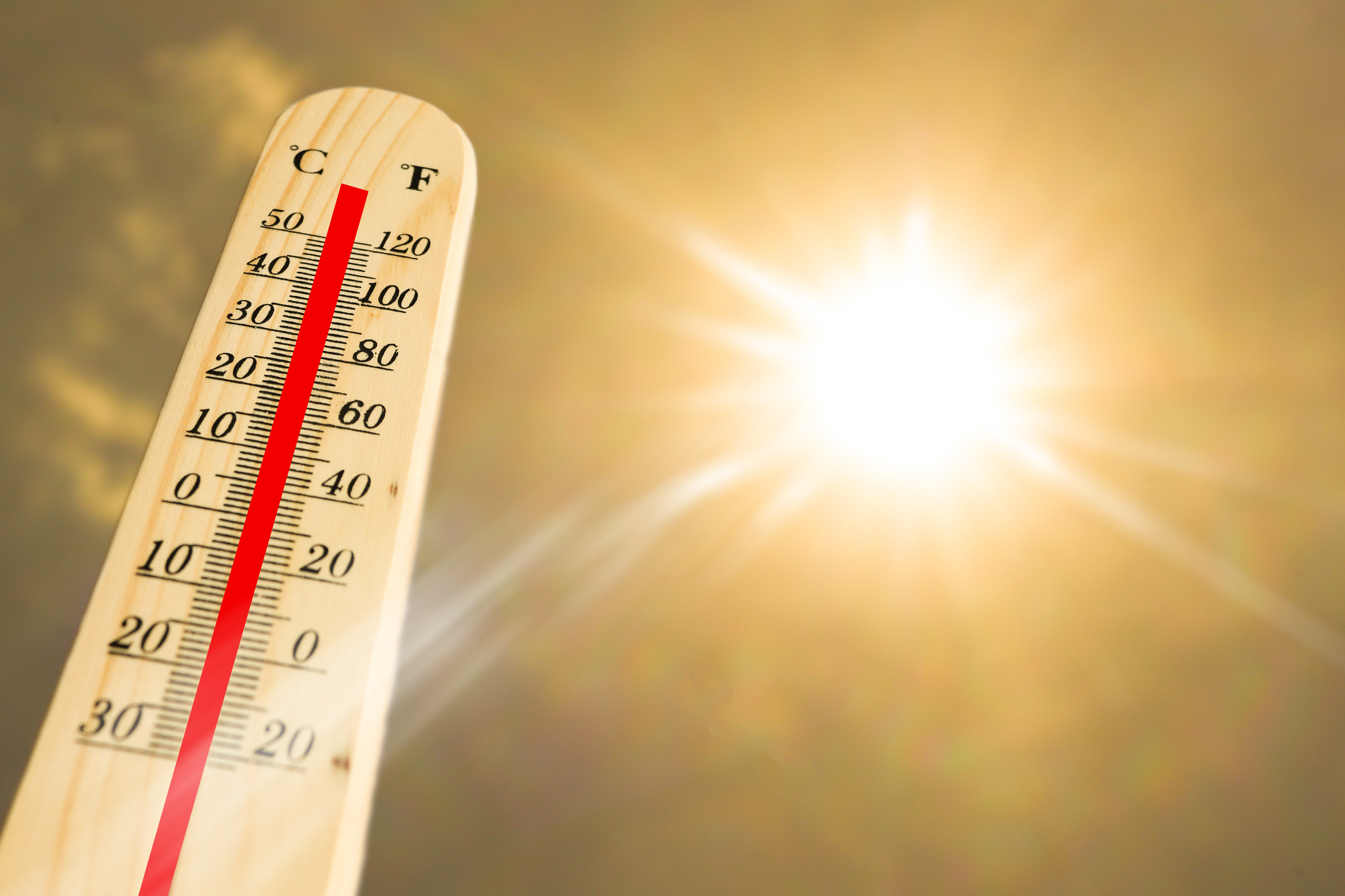 Țara în care valul de caniculă face prăpăd. Zeci de persoane au murit în doar 24 de ore, într-un singur oraș