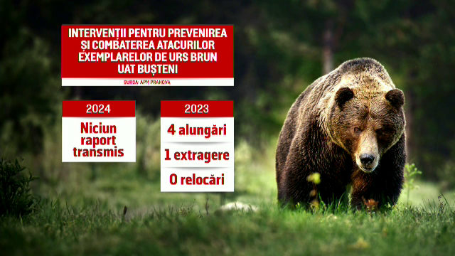 Cine era tânăra de 19 ani care a fost ucisă de urs pe Jepii Mici. Diana abia trecuse Bacalaureatul