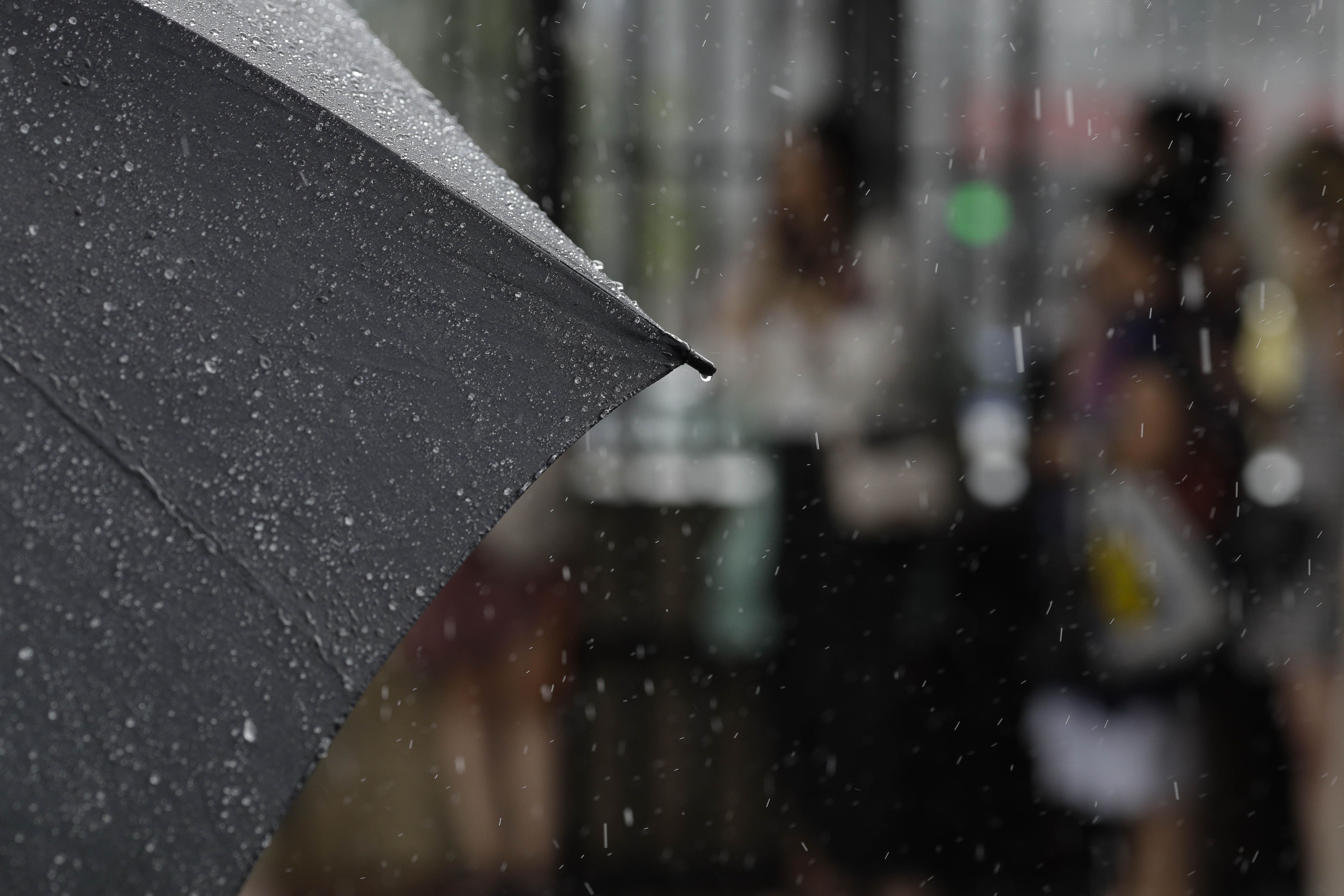 Vijelie puternică în județul Cluj. La munte a fost emis cod roșu de vânt puternic. ISU a emis mesaj RO-Alert