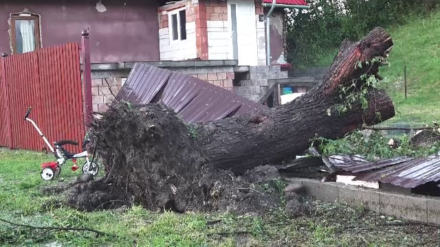 După caniculă, furtunile violente și ploile torențiale au făcut ravagii. Vântul a pus la pământ mai mulți copaci