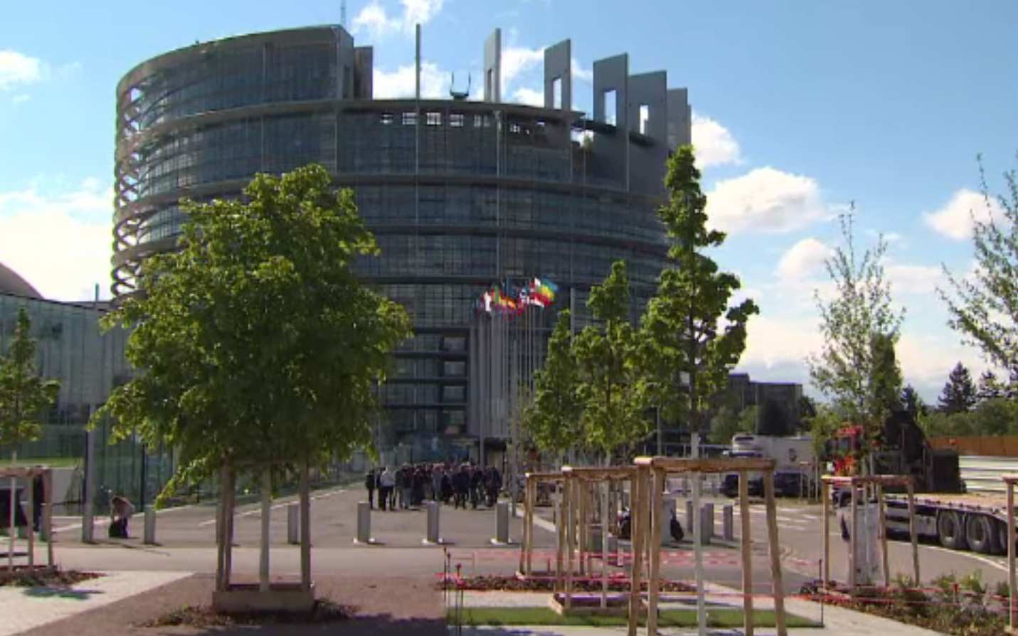 Suveraniști cu suveraniștii. Partidul Dianei Șoșoacă, respins și de extrema dreaptă din Parlamentul European