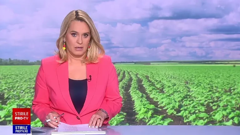 Cum să depozitezi fructele și legumele vara, ca să nu se strice repede și ce poți face dacă s-au alterat