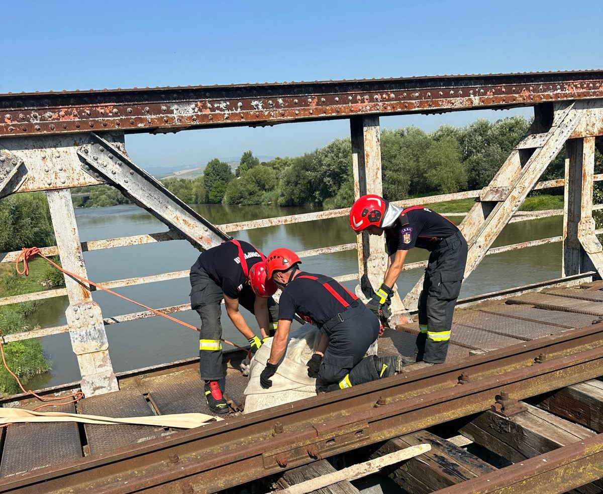 Un cal a fost salvat de pompierii militari, după ce a rămas imobilizat pe un pod din fier. FOTO