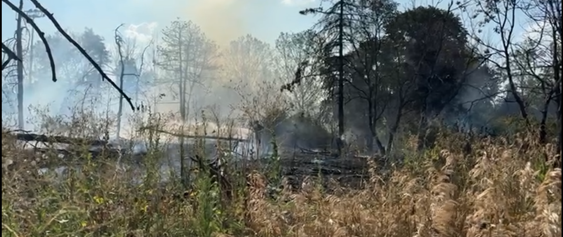 Incendiu puternic în parcul IOR. Au fost afectați 700 de metri pătrați | VIDEO
