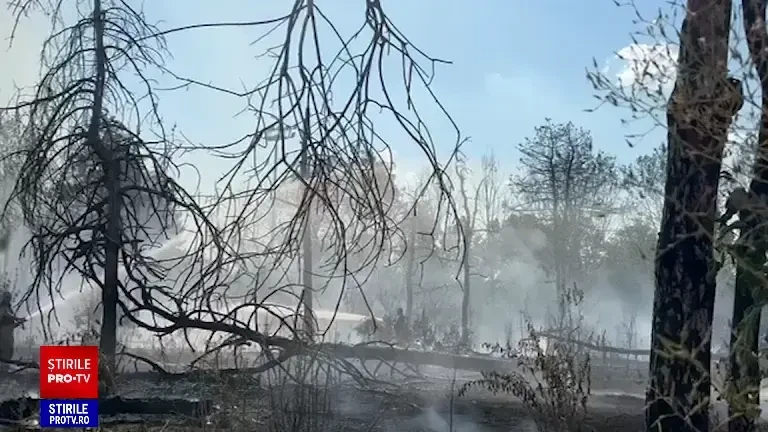 Incendiu puternic în parcul IOR. Au fost afectați 700 de metri pătrați | VIDEO