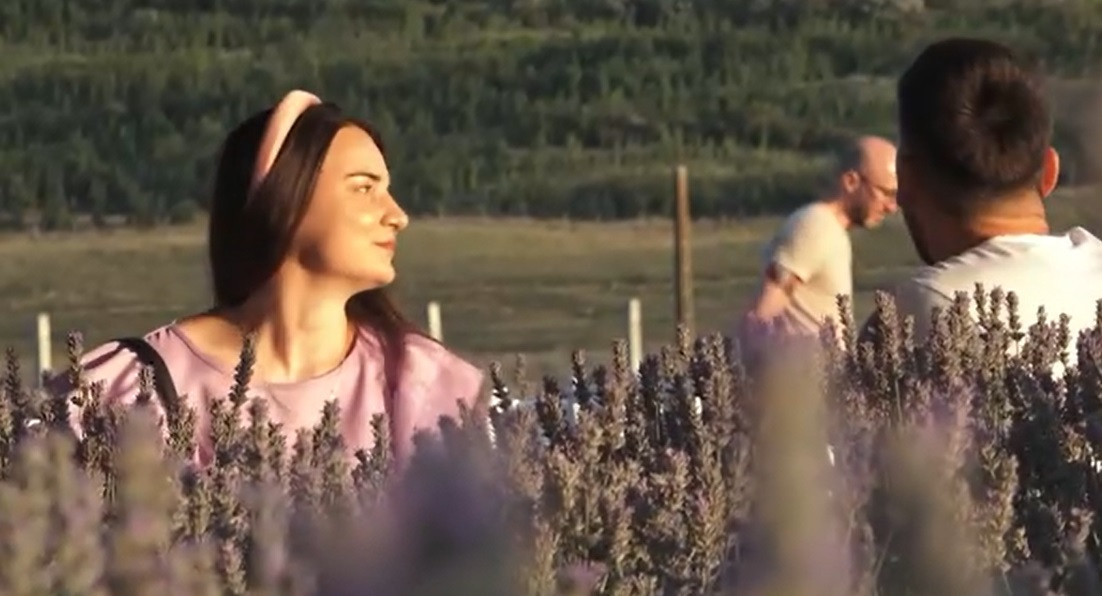Concerte în lanurile de lavandă, organizate pe un câmp din județul Iași. Oamenii s-au relaxat într-un cadru de poveste