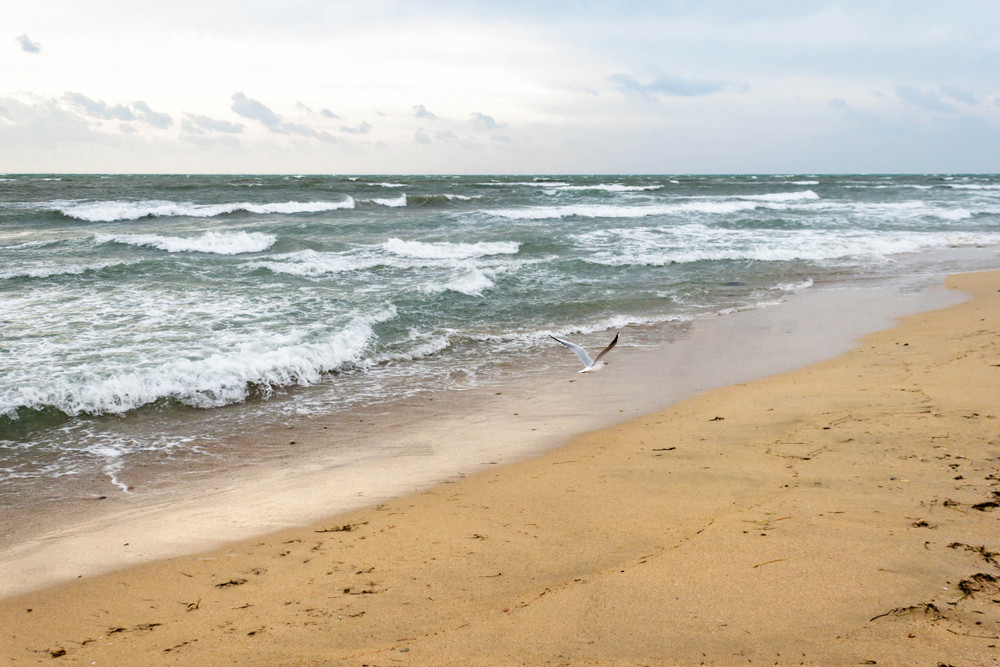 Cum arată și când apar valurile pătrate, cele mai periculoase valuri de la mare