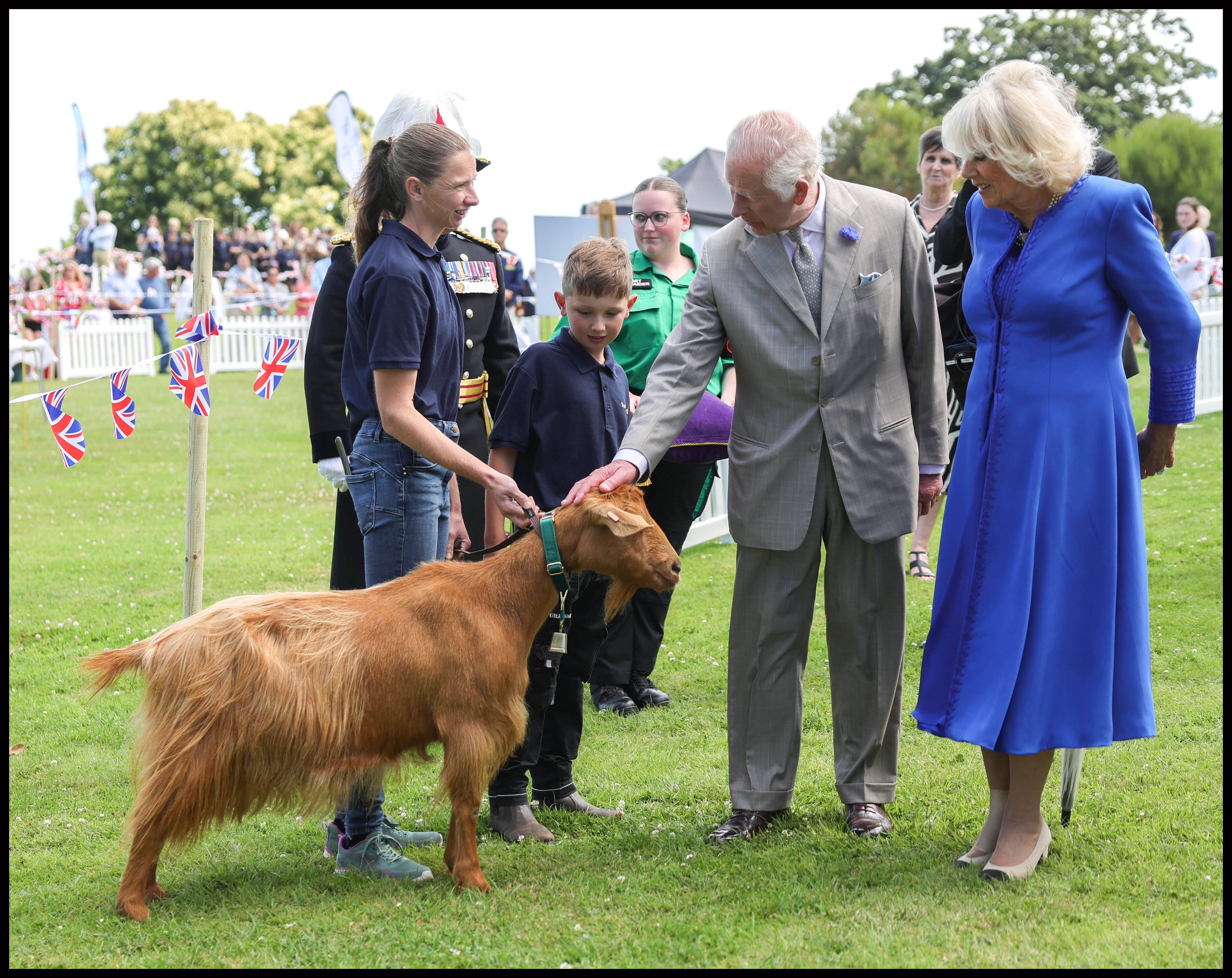 Regele Charles a acordat pentru prima dată un titlu regal unei capre. Spălată cu Head & Shoulders înainte de înnobilare