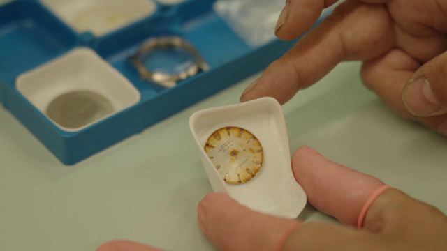 Un ceasornicar trebuie să restaureze un Rolex care a stat 50 de ani pe o pășune. Mâncat și eliminat pe cale naturală de vaci