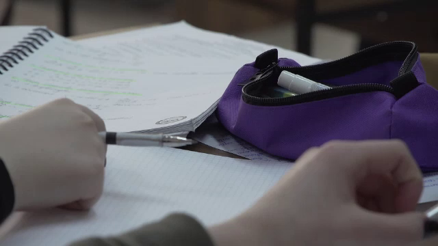 La examenul de titularizare au copiat de 20 de ori mai mulți viitori profesori decât elevii care au dat Evaluarea Națională