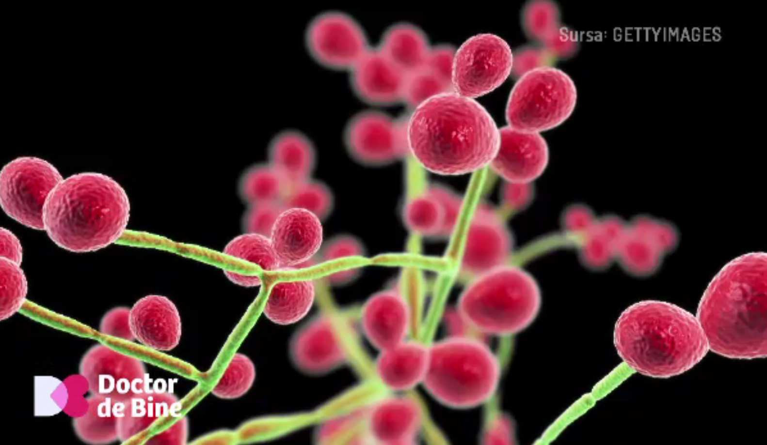 Ce înseamnă dacă ne e foame dimineața, pentru sănătatea organismului. Alimentele interzise la micul dejun