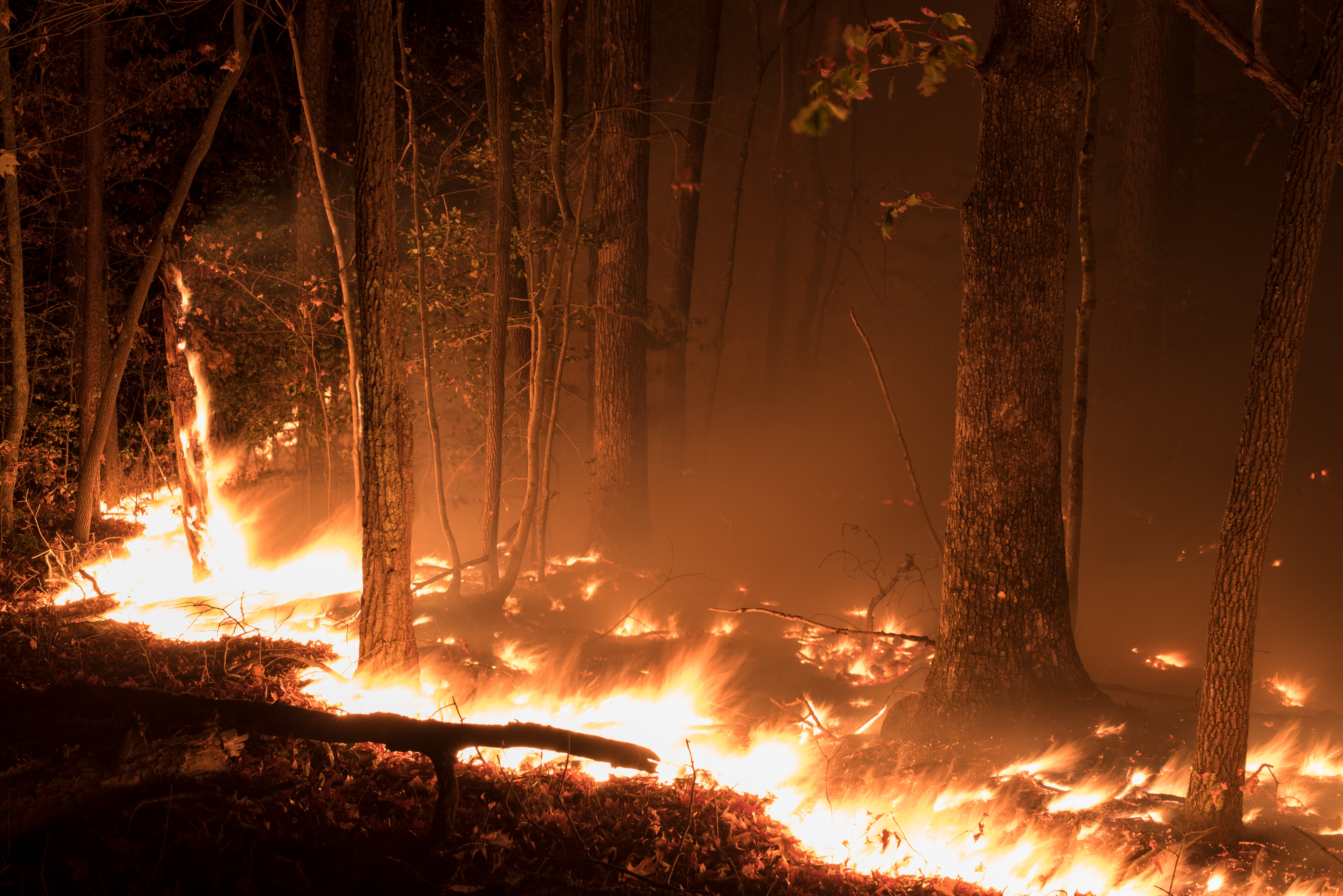 Atenţionare de călătorie transmisă de MAE. Pericol de extindere a unor incendii de vegetaţie în Slovenia