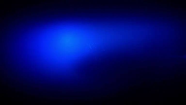 ȘTIRILE PROTV DE LA ORA 17:00 - 19.07.2024