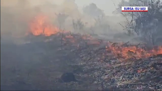 Incendiu de vegetație uscată la Iași. Localnicii au dat foc unor porțiuni de teren