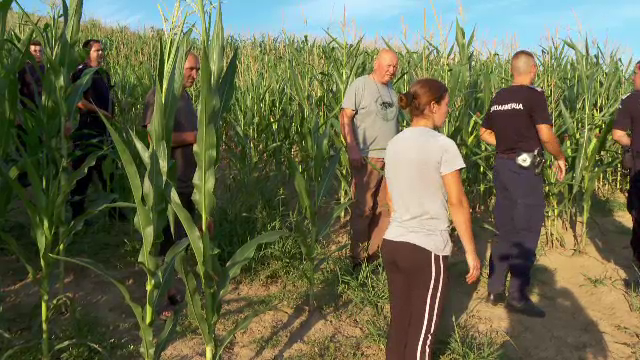 Un bărbat a fost atacat de un urs în Bistriţa-Năsăud, în timp ce monta un gard electric. „Așa am ajuns, creștem urși”