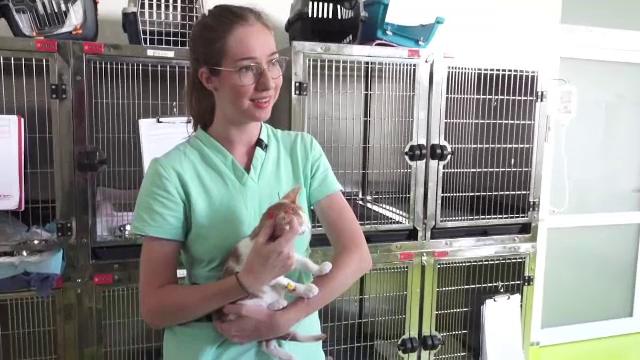 Sute de tineri aleg să facă internshipuri pe timpul verii. Unii primesc 3.000 de lei salariu pe lună