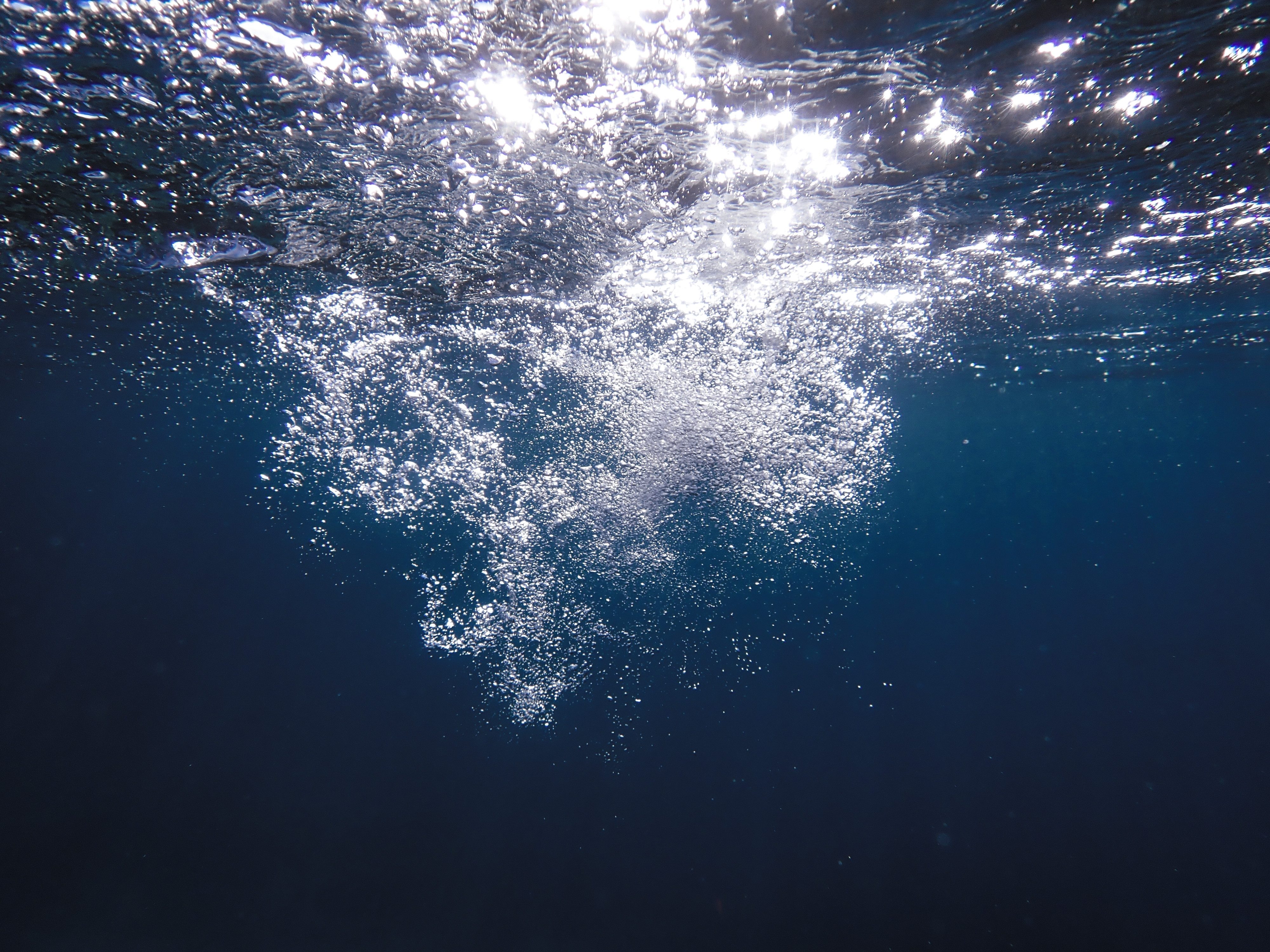 Un fenomen misterios produce oxigen pe fundul oceanului, iar cercetătorii nu înțeleg cum: „O alternativă la fotosinteză”