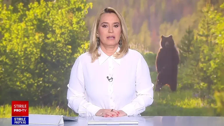 Italienii nu dau înapoi. Cum ar putea ajunge în România ursul care a atacat un turist. „E un animal liniştit”