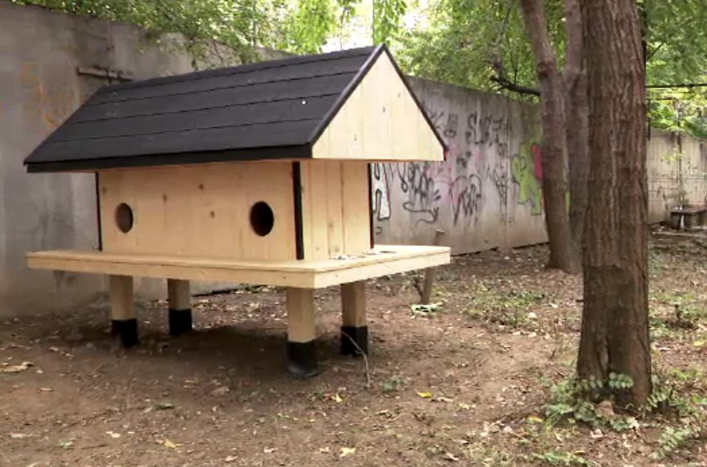 Proiecte din ințiativa comunității, finanțate cu 5 milioane de lei de primărie. Căsuțele pentru pisici sunt admirate