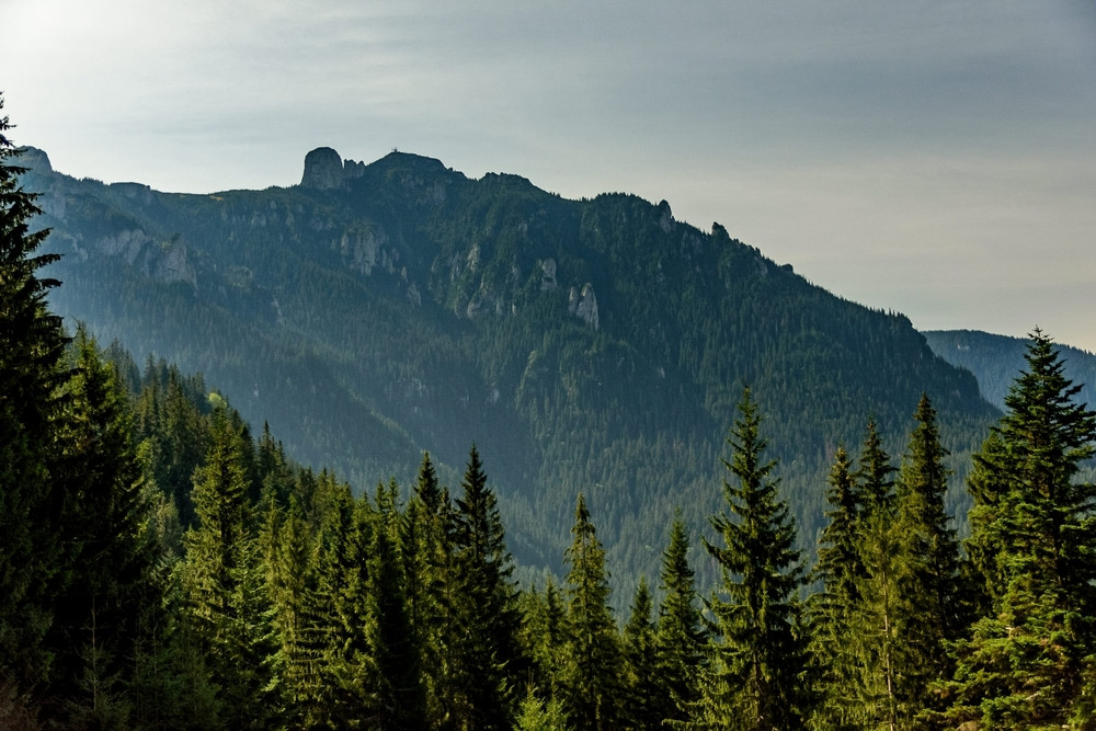 O femeie a dispărut o săptămână în munții Harghitei, iar fratele ei a anunțat poliția. Ce a spus când s-a întors