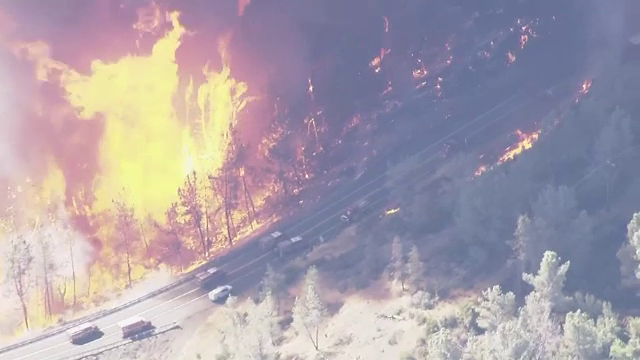 Incendii de proporții în SUA. Mii de pompieri au fost trimiși să stingă flăcările. „Casa noastră a ars, casa lor a ars”