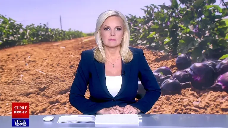 Care sunt cele mai bune vinete vândute în România, dar aduse din străinătate. "Am familii care le comandă cu sacii"