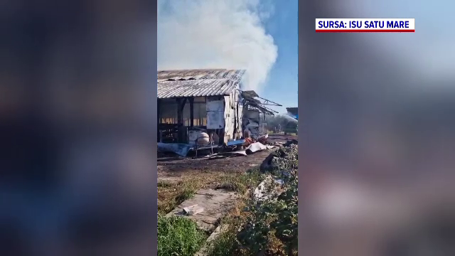 Incendiu violent la o fermă din Satu Mare. Mai multe animale au murit în flăcări, iar două persoane au ajuns la spital