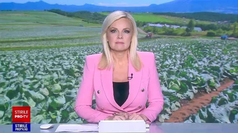 Leguma pe care fermierii români o cultivă pe suprafețe tot mai mari. Cu cât se vinde un kilogram în piețe