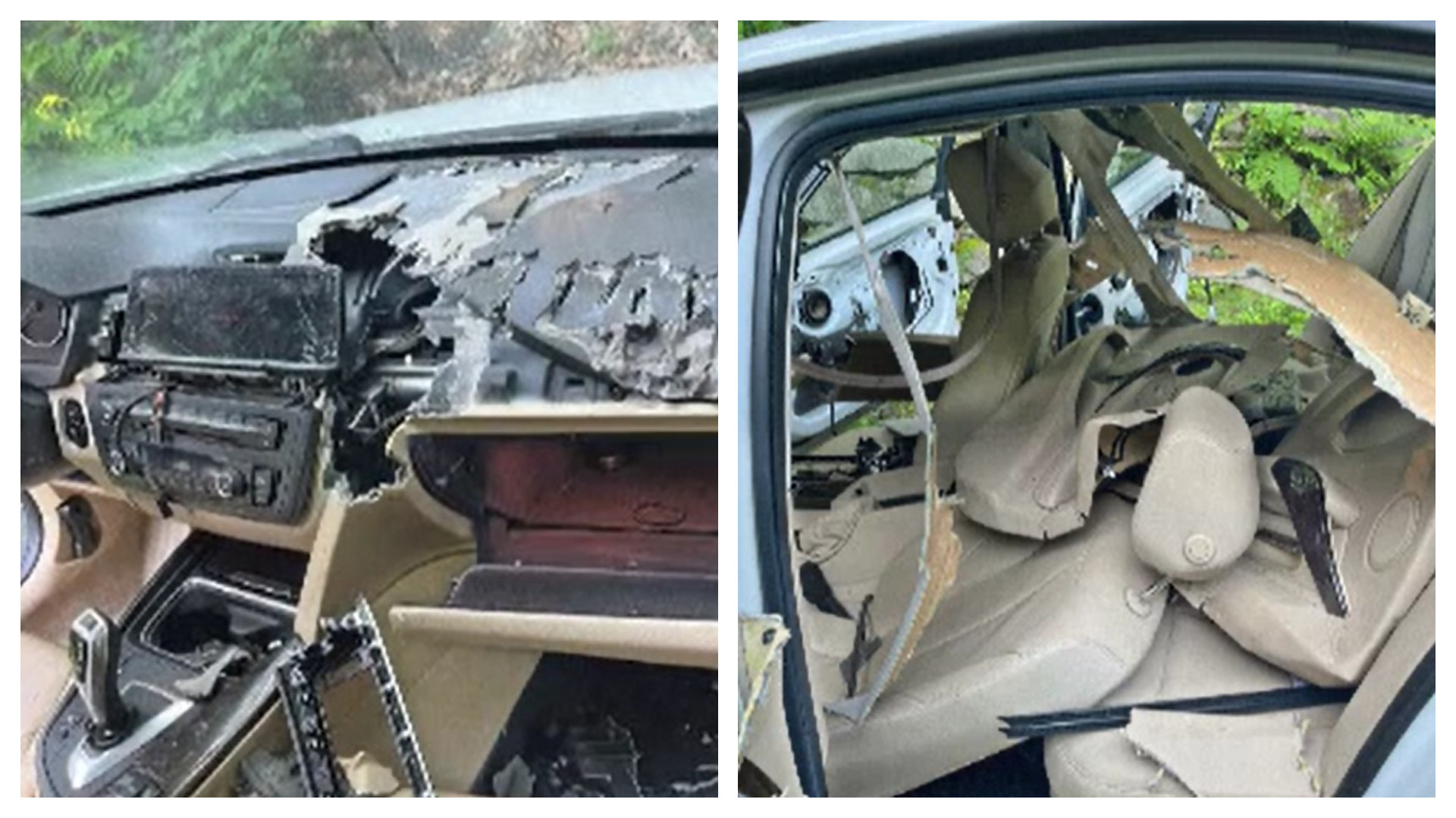 Trei urși au distrus complet interiorul unei mașini. Ce s-a întâmplat cu proprietarul autoturismului