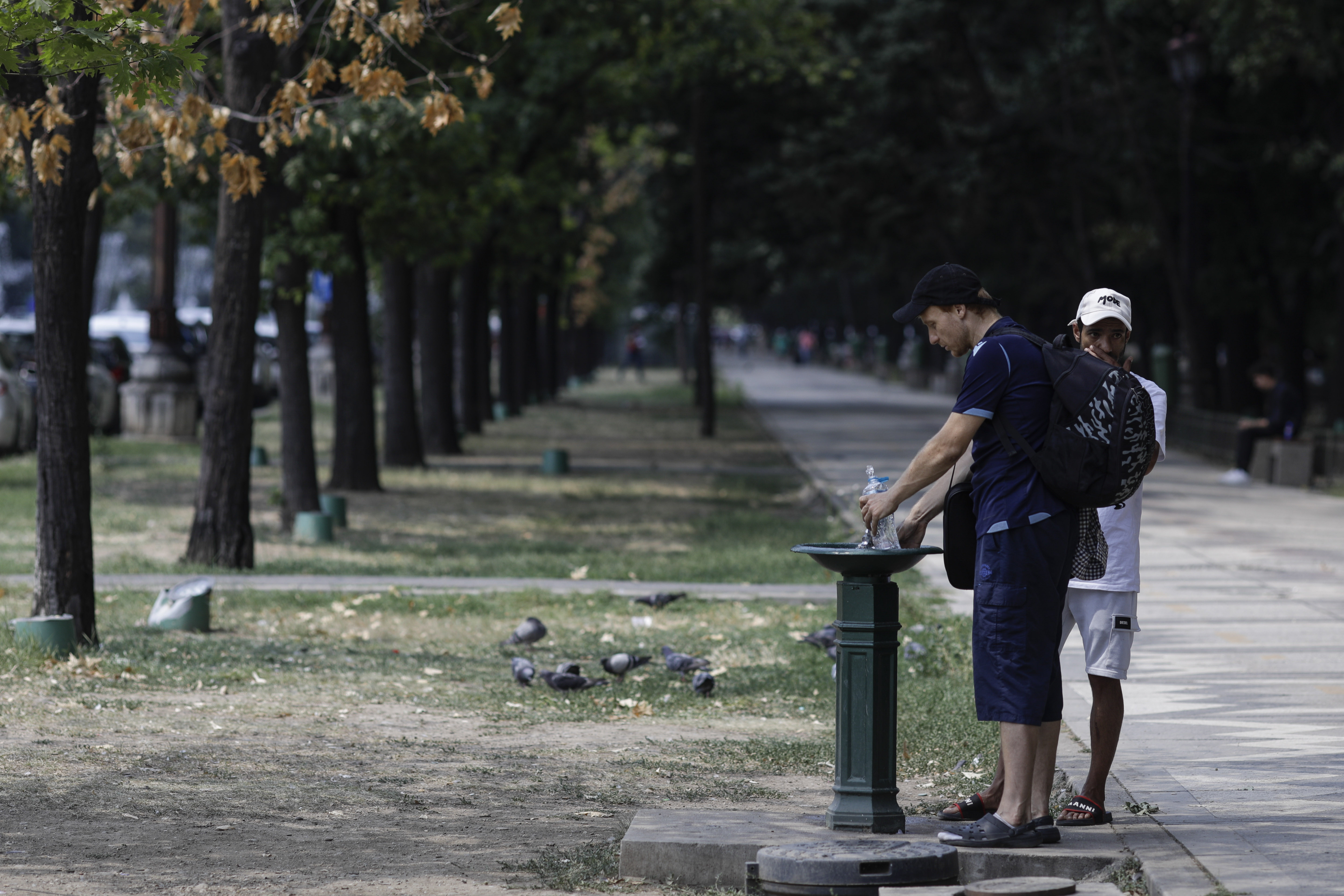 Meteorologii anunţă temperaturi caniculare şi în luna august. Zone afectate vor fi Banatul, Oltenia, Muntenia şi Dobrogea