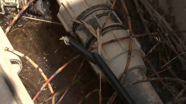 Ministrul francez al Sportului, după atacul care a vizat rețeaua de telecomunicații: Este o acțiune de sabotaj la scară mare