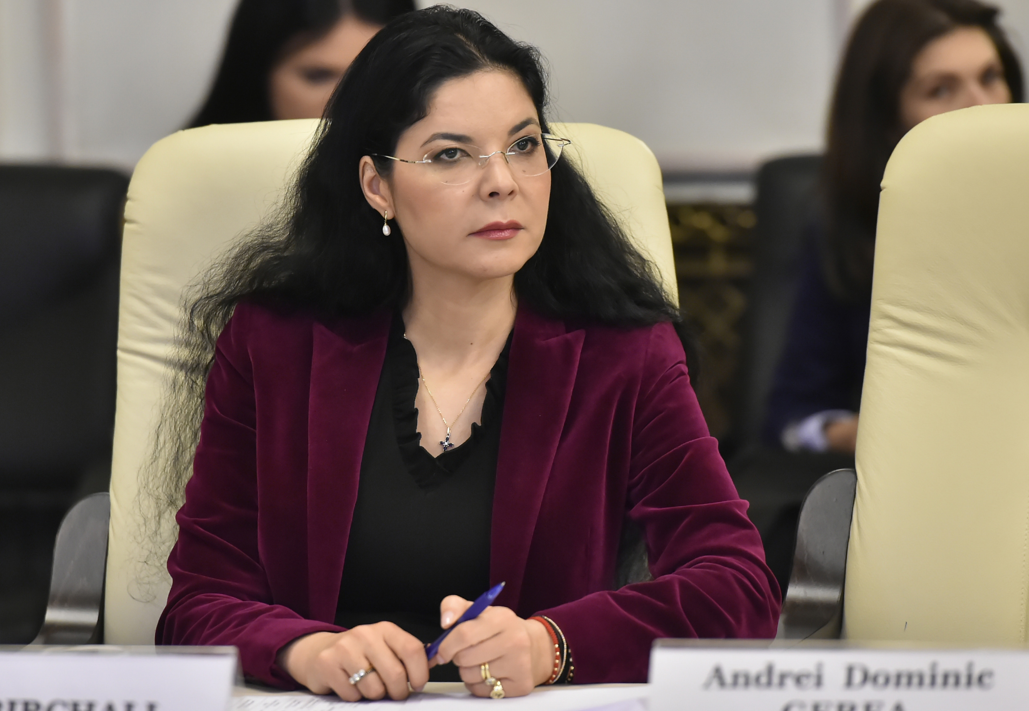 Candidatura Anei Birchall la preşedinţia României, înregistrată de BEC. Cine luptă în prezent pentru Cotroceni