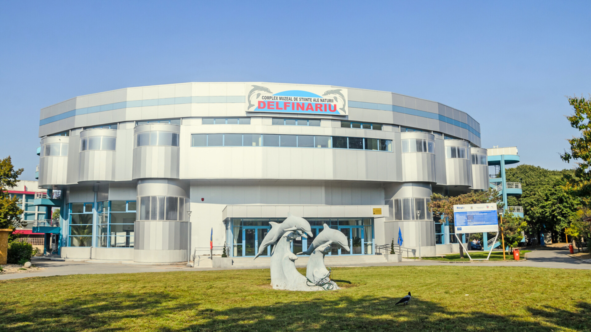 delfinariu