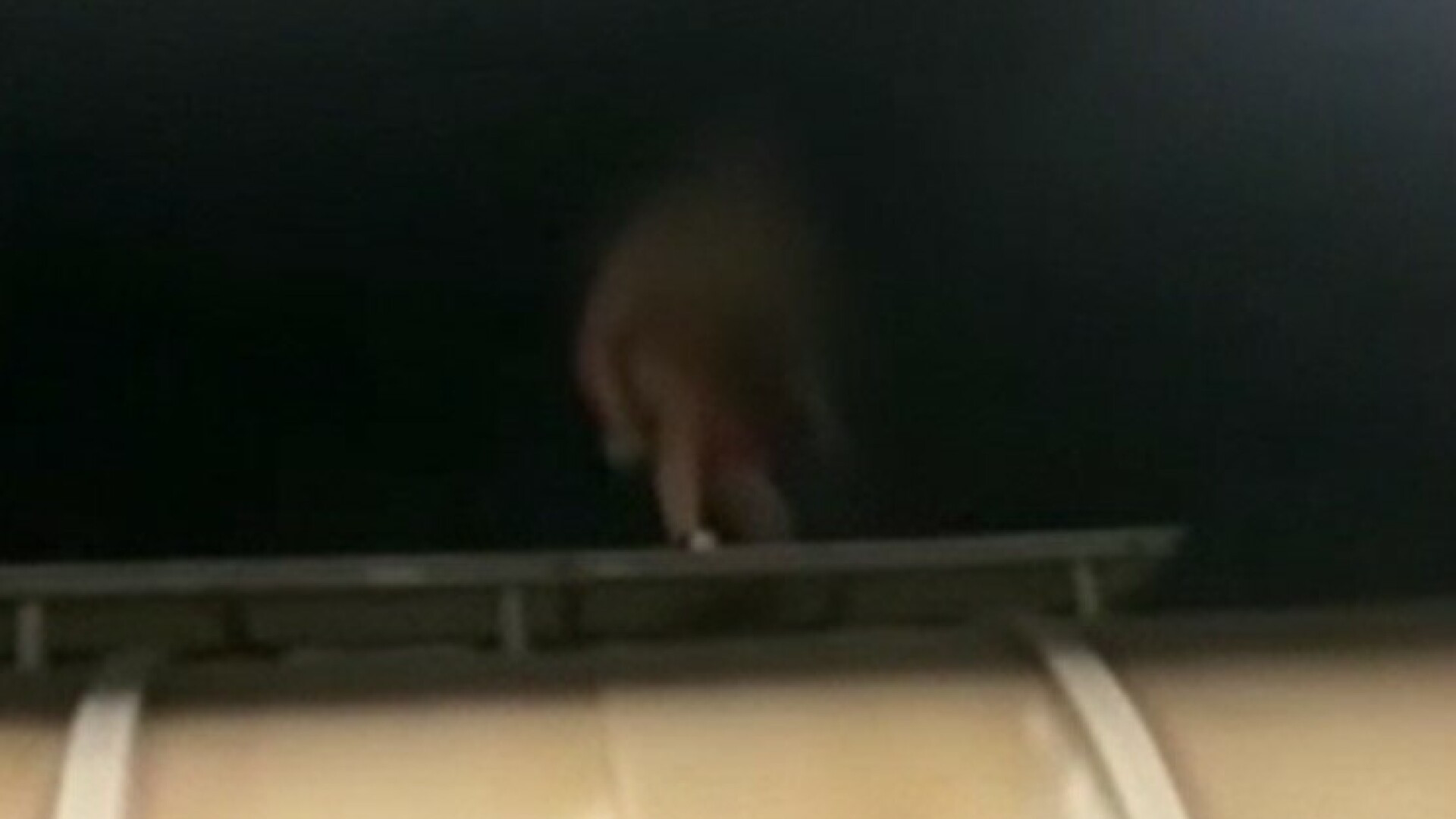 Un tânăr de 19 ani a fost filmat de prieteni în timp ce era electrocutat pe un vagon de tren. Reacția CFR