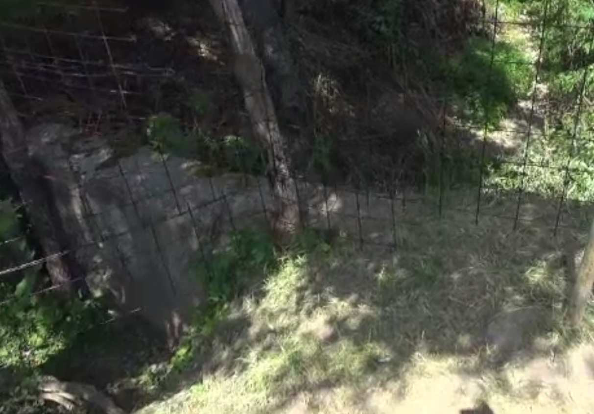 Gest de violență extremă în Bacău. Un copil de 13 ani l-a împins intenționat pe altul de șase într-un șanț | VIDEO