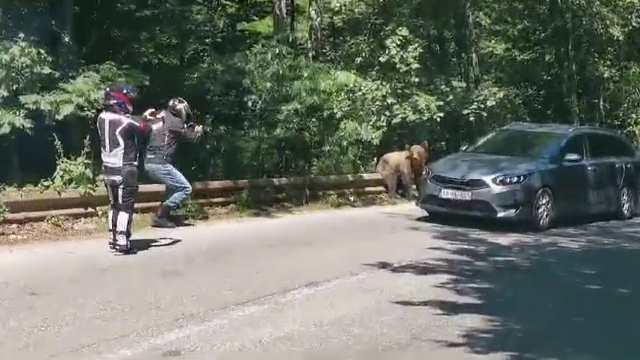 La un pas de tragedie pe Transfăgărășan. Gestul care putea să îi coste viața pe doi motocicliști