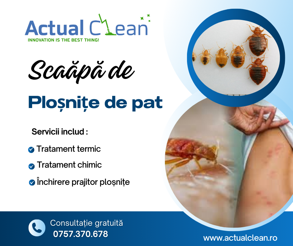 (P) Actual Clean : Lider În Eliminare Ploșnițe de Pat